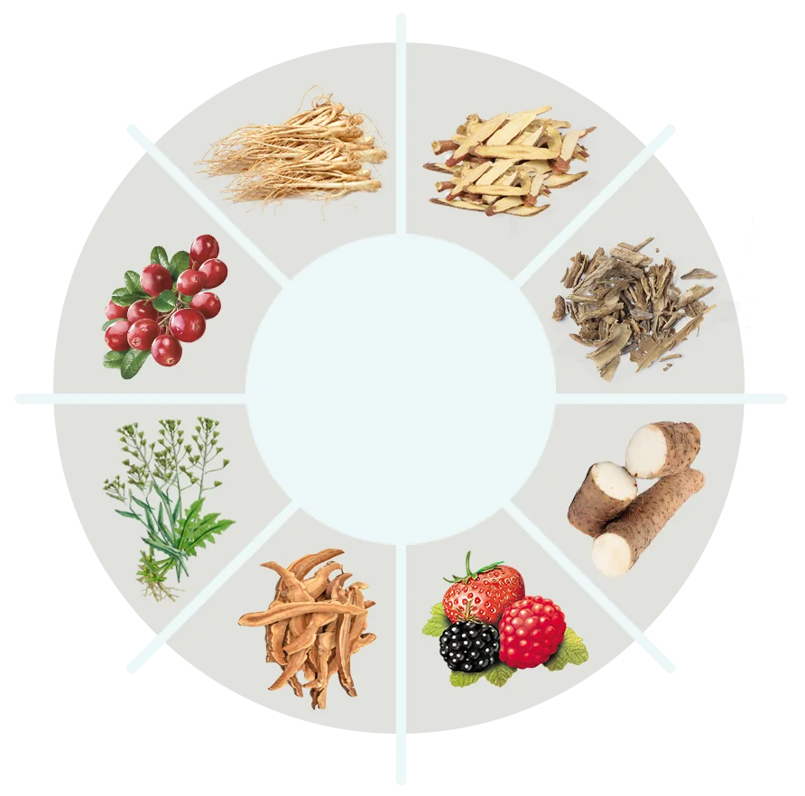 FitSpresso ingredients - the natural blend inside FitSpresso